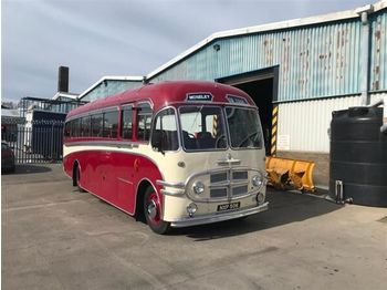 Bus interurbain BEDFORD SB Paxton coach NXP506
