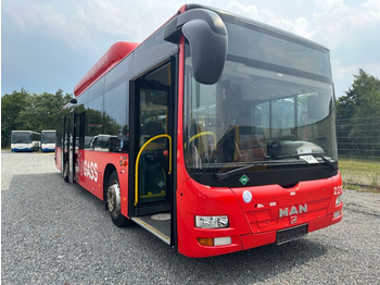 MAN A21/CNG Lion City/530  - Bus urbain