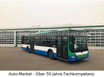 Bus urbain MAN A21 LIONS CITY/KLIMA/ Mehrere Fahrzeuge verfügb.: photos 1