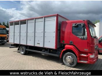 Camion bétaillère DAF LF 55 Einstock Köpf