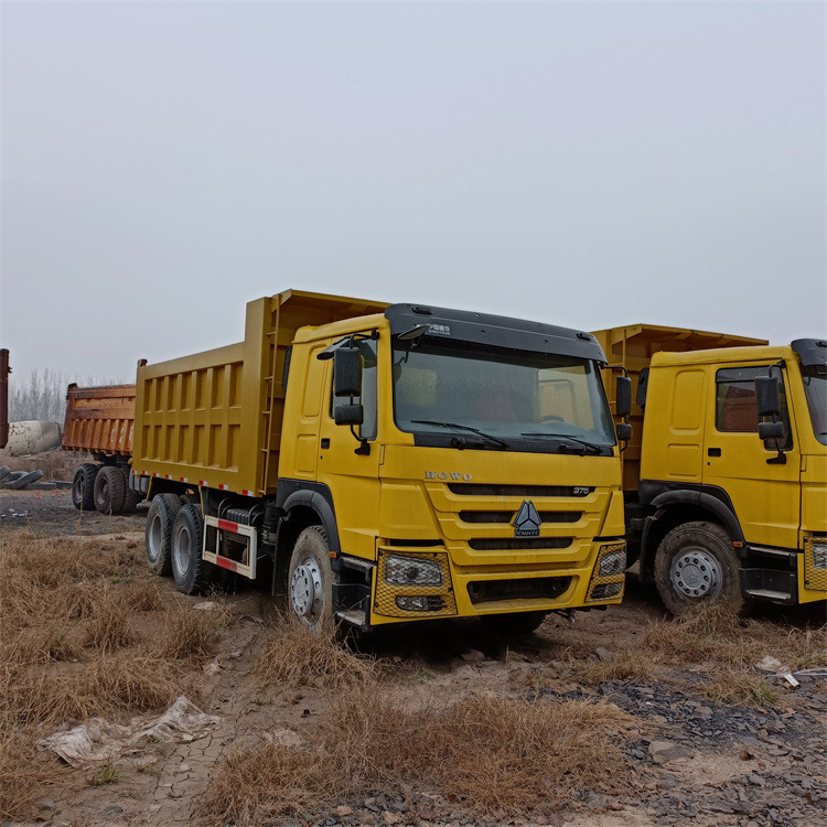 Camion benne HOWO HOWO 6x4-375 Tipper-Yellow: photos 9