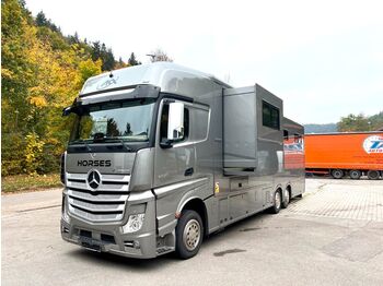 Camion bétaillère Mercedes-Benz Pferdedetransporter: photos 1