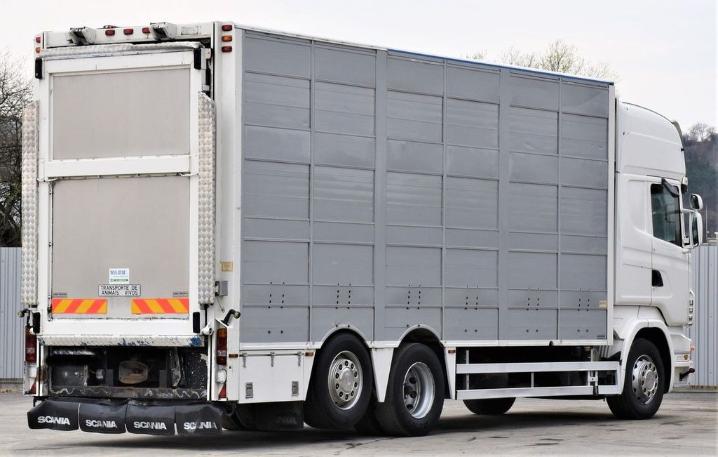 Camion bétaillère Scania R 500 TIERTRANSPORTWAGEN 7,10m / 4STOCK: photos 5