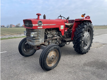 Massey Ferguson 165 - Tracteur agricole