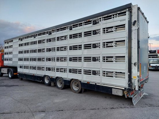 Semi-remorque bétaillère Pezzaioli SBA32/G , 5 Stock , Viehtransporter  , Tränkeranlage,: photos 2