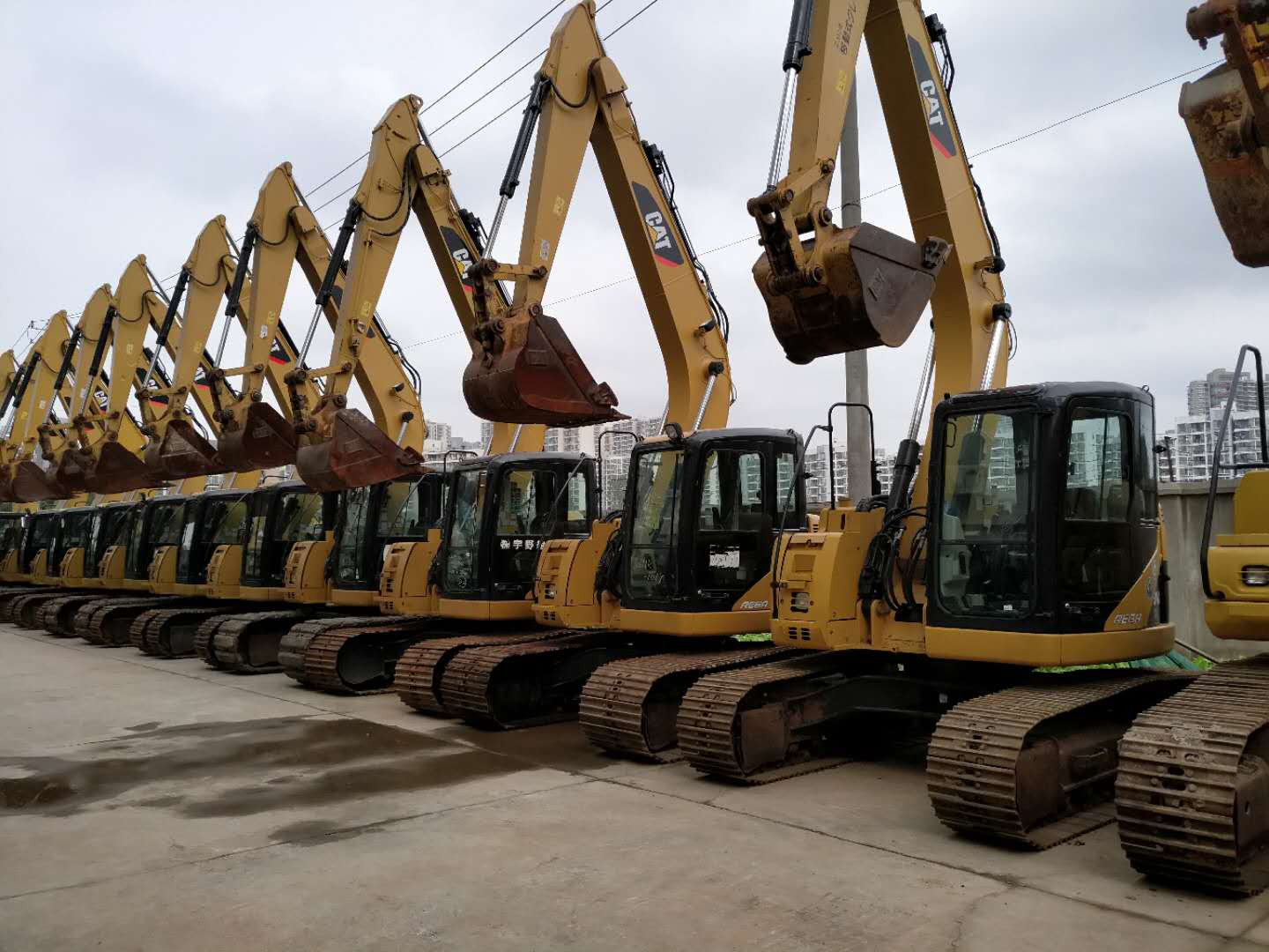 Shanghai Walila Engineering Machinery Co., Ltd. - Engins de chantier CATERPILLAR 305.5 - Année: 2023 undefined: photos 8
