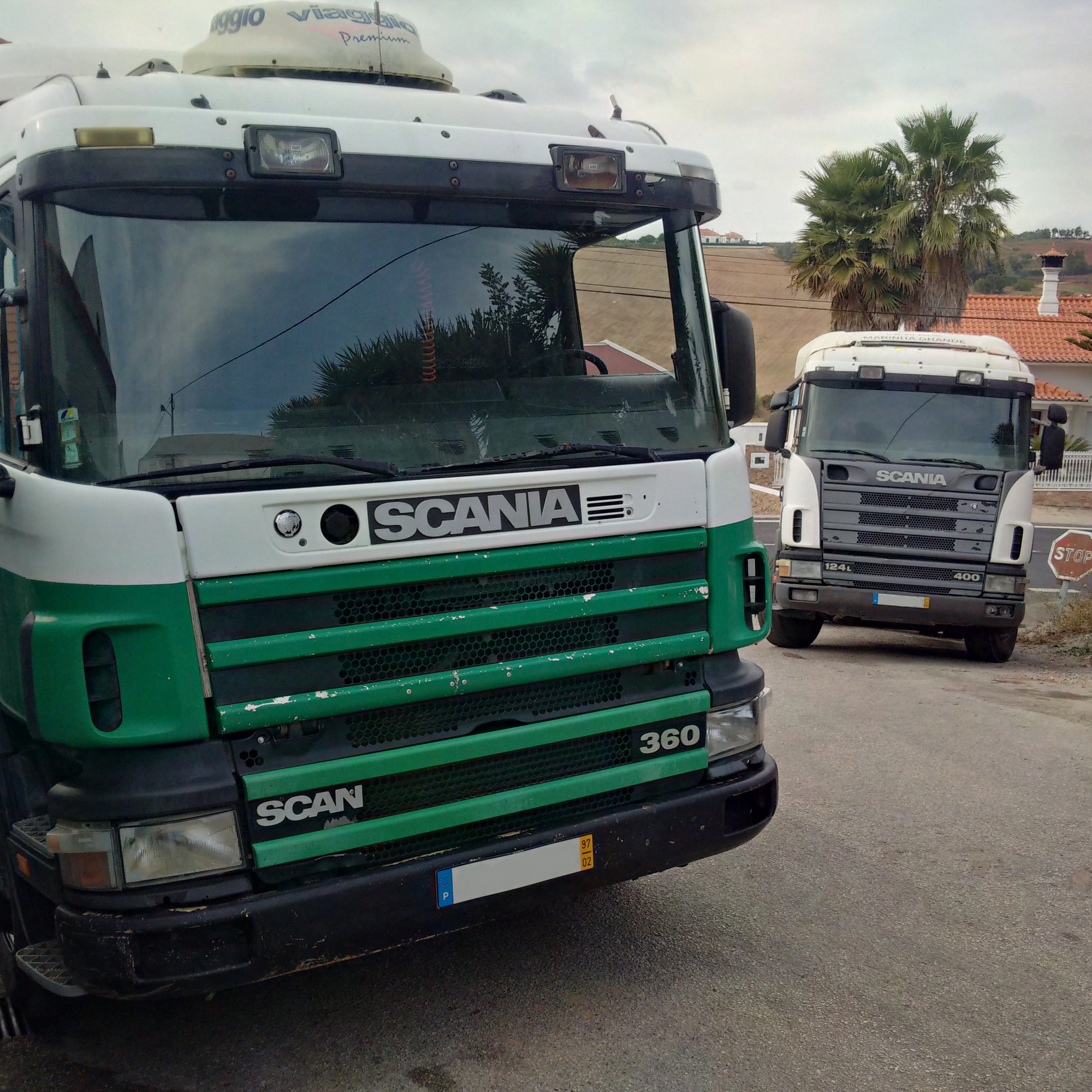 Britannia Export Consultants Limited undefined: photos 22