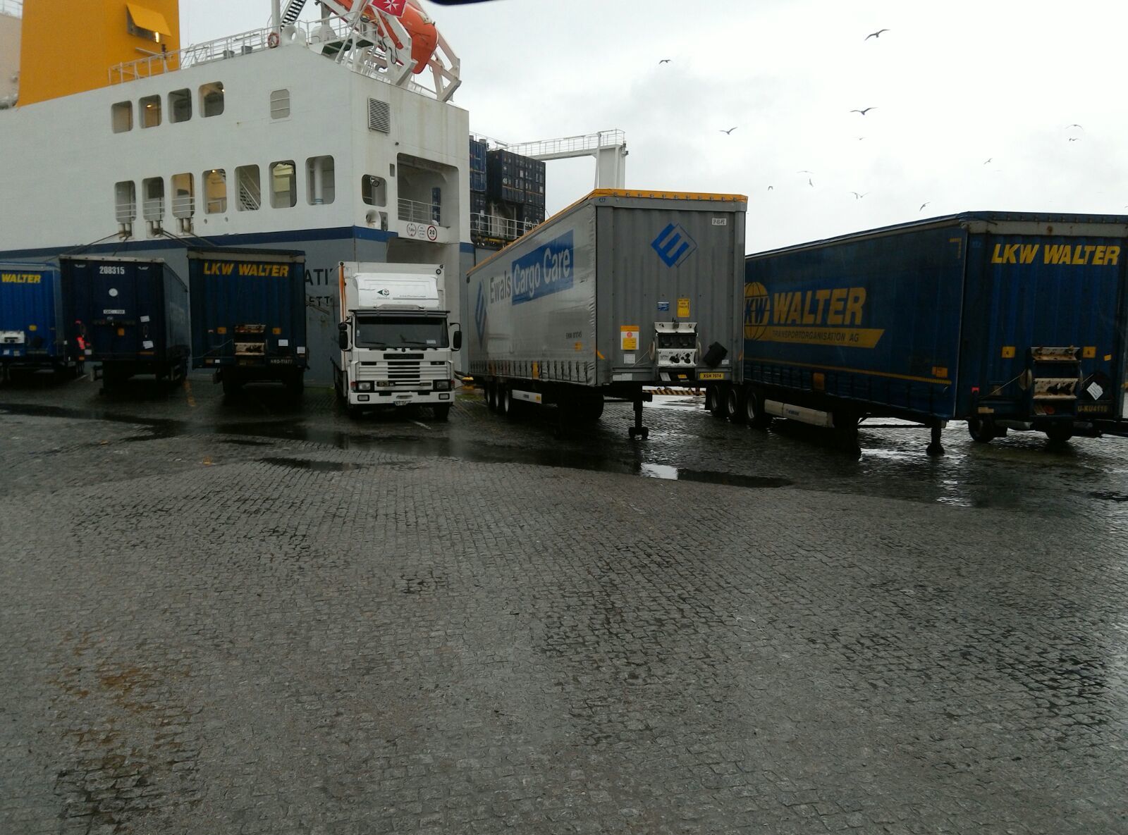 Britannia Export Consultants Limited undefined: photos 18