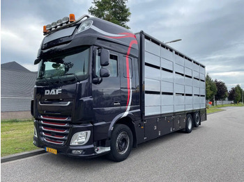 Camion bétaillère DAF XF 460