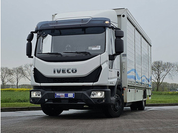 Camion fourgon IVECO EuroCargo