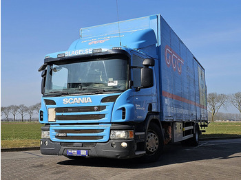 Camion fourgon SCANIA P 250