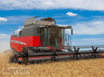 Moissonneuse-batteuse MASSEY FERGUSON