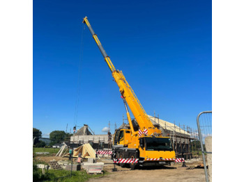 Grue mobile LIEBHERR LTM 1060-3.1