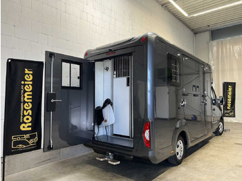 Camion chevaux, Véhicule utilitaire neuf RENAULT Master Haras STX 5-Sitzer LKW: photos 5