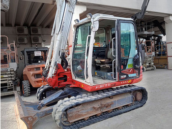 Mini pelle TAKEUCHI