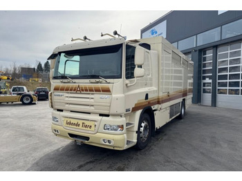 Camion chevaux DAF CF 410
