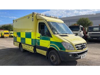 Minibus, Transport de personnes Mercedes-Benz SPRINTER 519 CDI: photos 1