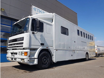Camion chevaux DAF 95 350