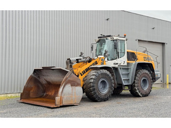 Chargeuse sur pneus Liebherr L 566 X POWER/ BJ 2022: photos 5