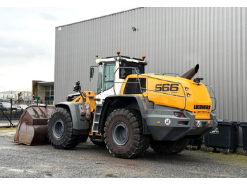 Chargeuse sur pneus Liebherr L 566 X POWER/ BJ 2022: photos 2