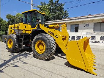 Chargeuse sur pneus SDLG L956F: photos 2 Chargeuse sur pneus SDLG L956F: photos 2