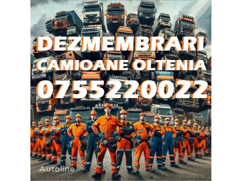 Boîte de vitesse pour Camion ZF Piese si diferentiale camioane din DEZMEMBRARI - CEI EURORICAMBI: photos 2