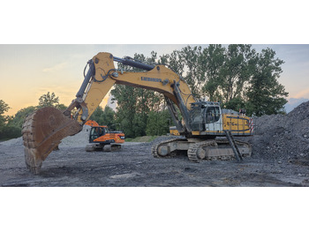 Pelle sur chenille LIEBHERR