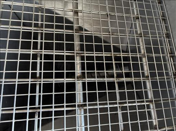 Convoyeur NNP Elevator screw conveyor: photos 3