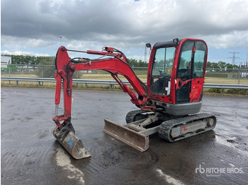 Mini pelle JCB 8025