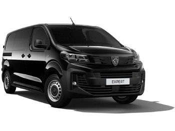 Fourgon utilitaire PEUGEOT Expert