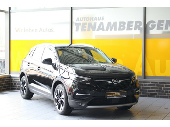 SUV Opel Grandland X Ultimate Leder 360°Kamera DAB: photos 2