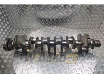 Vilebrequin IVECO