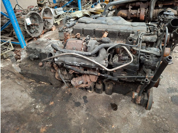 Moteur MAN D0836LOH63: photos 2