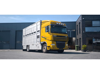 Camion chevaux DAF XF 410 SC Menke Doppelstock: photos 4