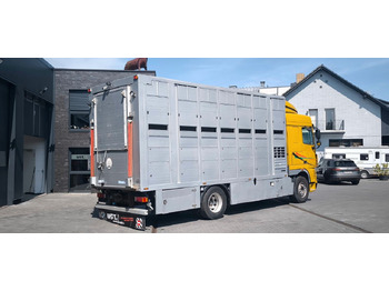 Camion chevaux DAF XF 410 SC Menke Doppelstock: photos 3