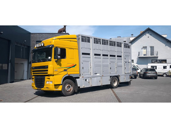 Camion chevaux DAF XF 410 SC Menke Doppelstock: photos 5