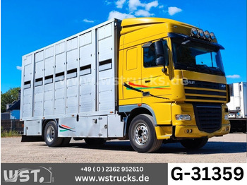 Camion chevaux DAF XF