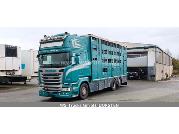 Camion chevaux SCANIA R 490