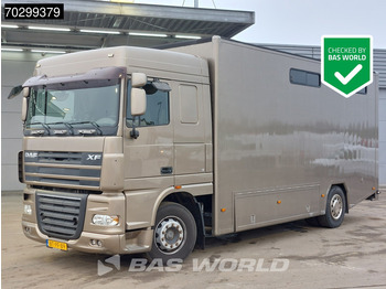 Camion chevaux DAF XF 105 410