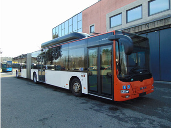 Bus articulé MAN Lion's City