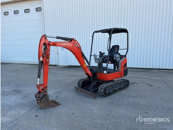 Mini pelle KUBOTA KX019-4