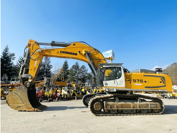 Pelle sur chenille LIEBHERR