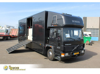 Camion chevaux VOLVO FL
