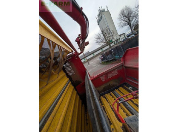 Arracheuse de pommes de terre Grimme se 75 - 55: photos 2