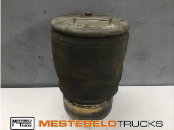 Pièces de frein DAF