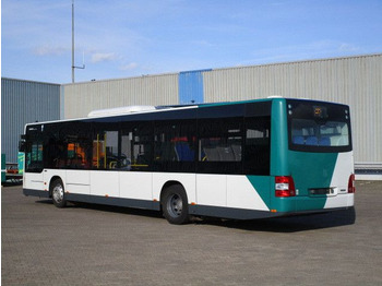 Bus urbain MAN Lions City, A21, A/C, Euro 6, Lawo: photos 2