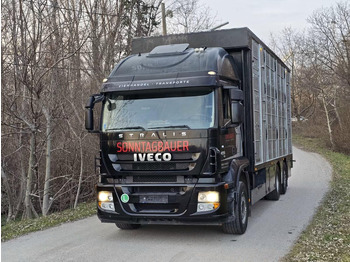 Camion bétaillère Iveco Stralis 260S45 - Animal transporter: photos 2 Camion bétaillère Iveco Stralis 260S45 - Animal transporter: photos 2
