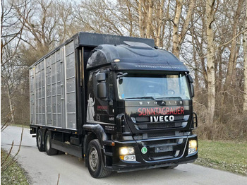 Camion bétaillère Iveco Stralis 260S45 - Animal transporter: photos 3 Camion bétaillère Iveco Stralis 260S45 - Animal transporter: photos 3