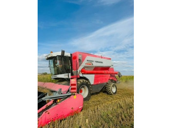 Moissonneuse-batteuse MASSEY FERGUSON