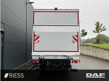 Camion à rideaux coulissants DAF XB 290 FA 16 to Pritsche Schiebeplane LBW: photos 5 Camion à rideaux coulissants DAF XB 290 FA 16 to Pritsche Schiebeplane LBW: photos 5